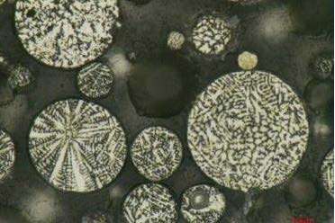 iPLM-43 Polarizing Microscope（5）