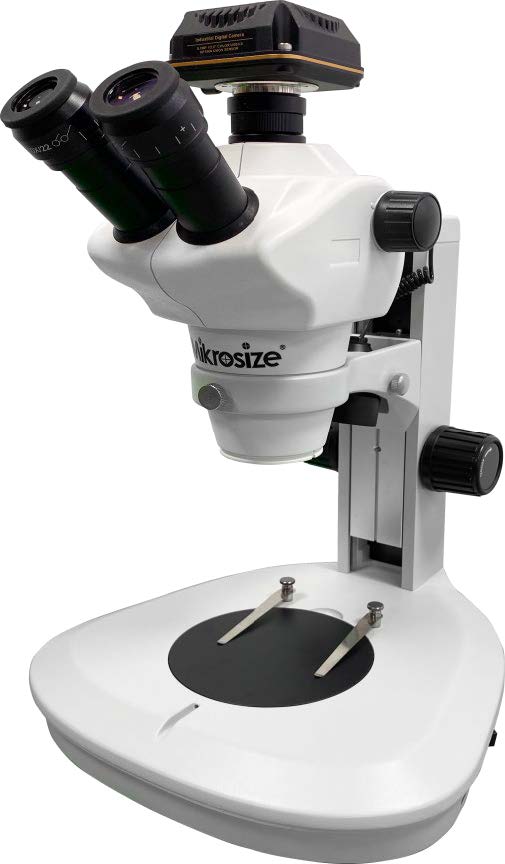 IStereo 211VT Stereo Microscope（2）