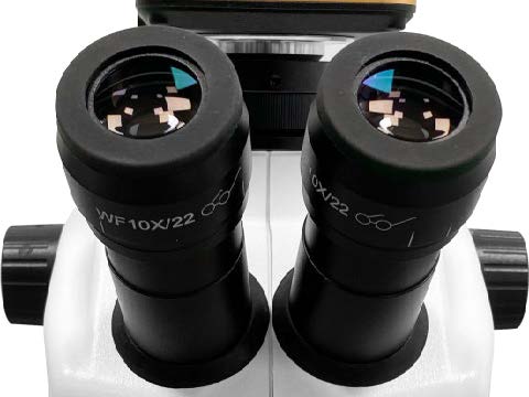 IStereo 211VT Stereo Microscope（4）