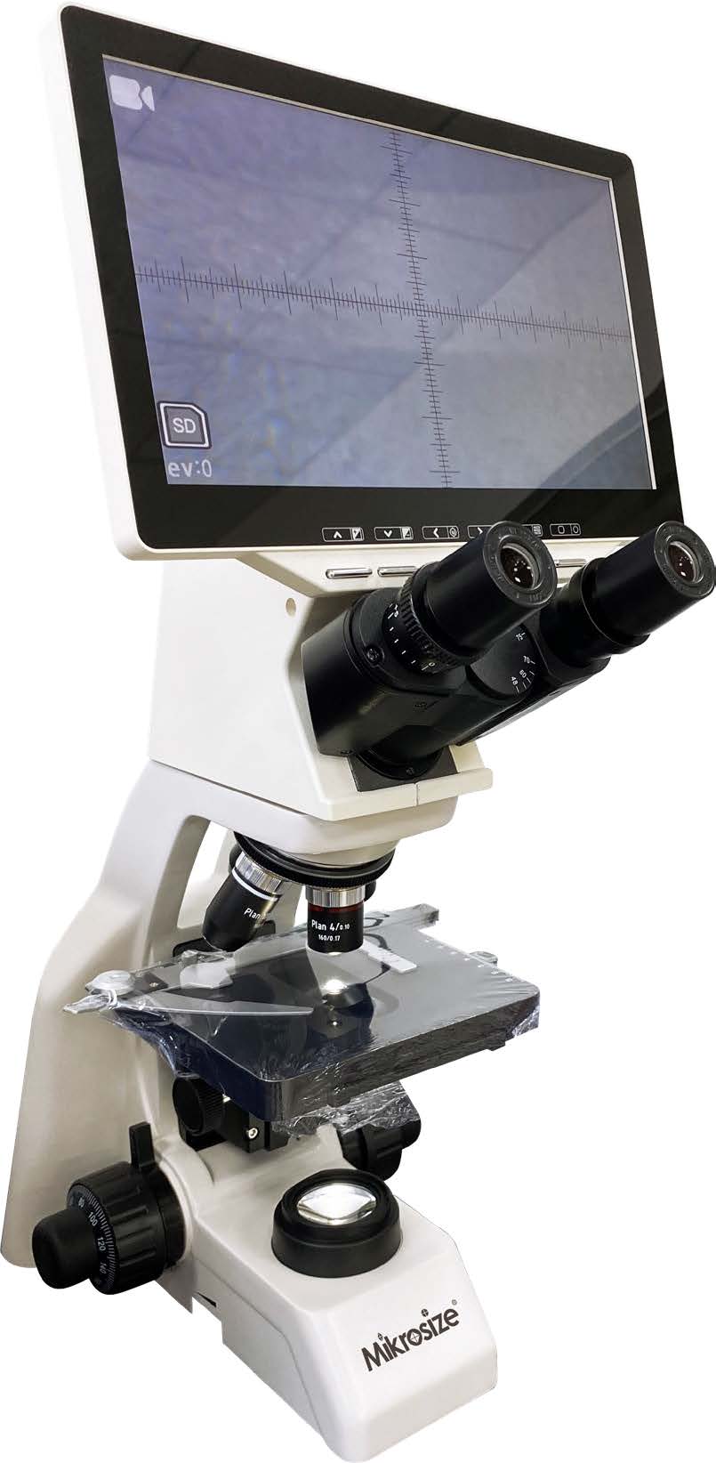 MS B106L A图（1）