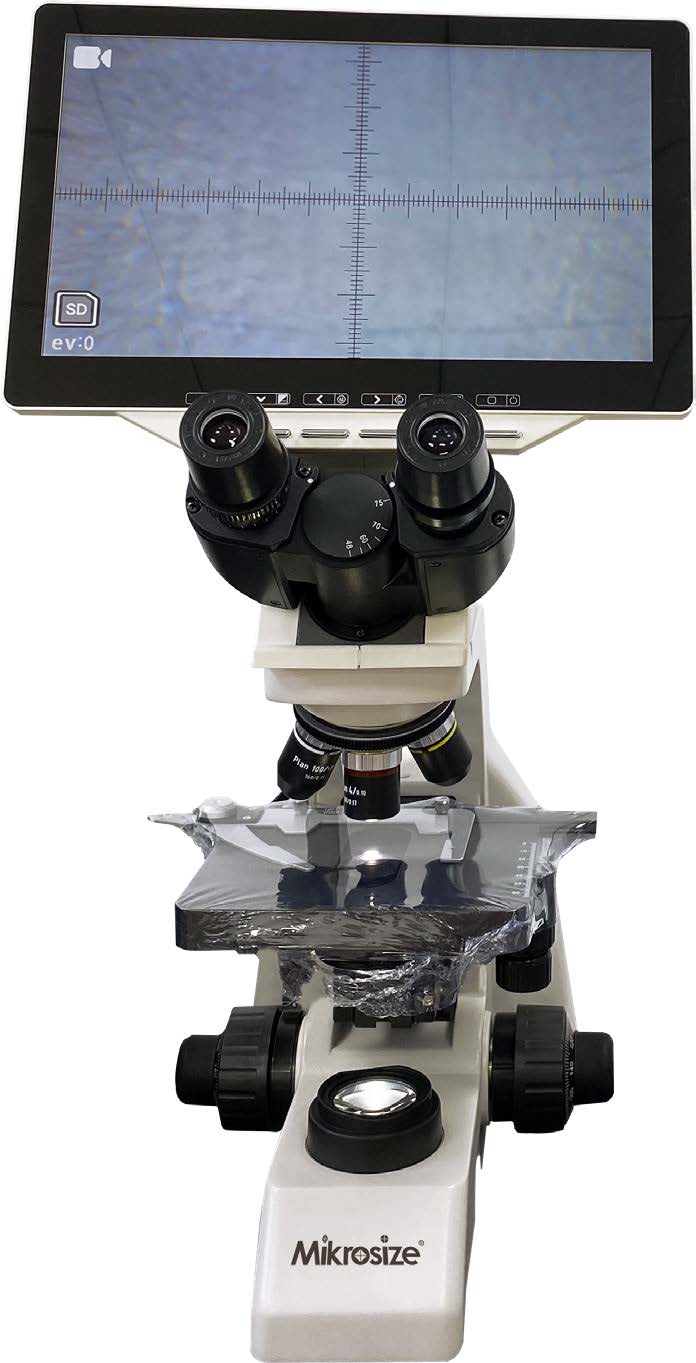 MS B106L A图（2）