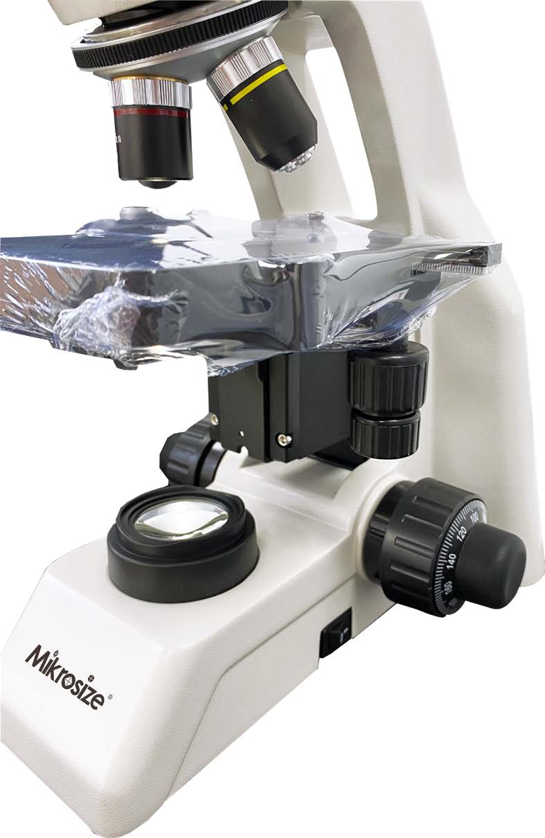 MS B106L A图（6）