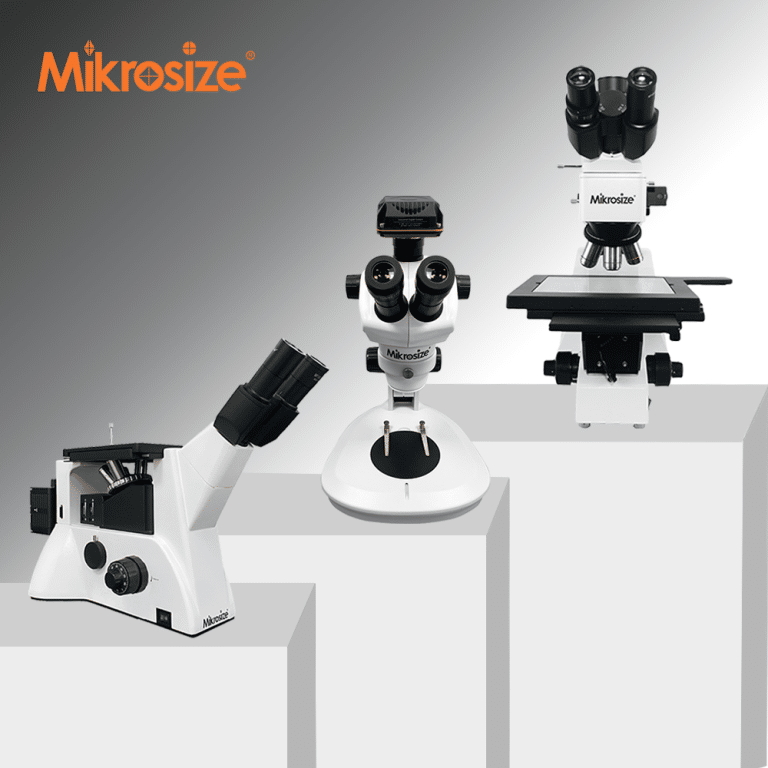 bece98bbc3ba23a036b98bdc9f27b43b