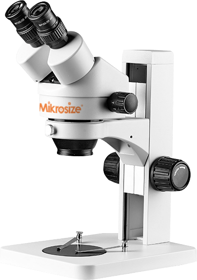 微信图片 20260325101141 5760 19