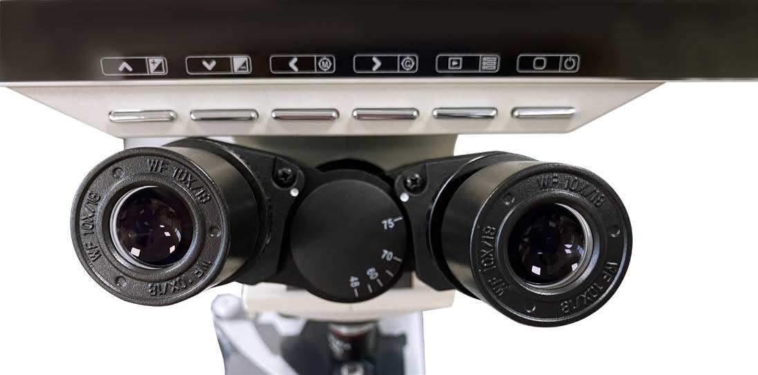 How to Choose the Right Binocular Biological Microscope for Teaching and Research 4 MS-B106L-A图(4)