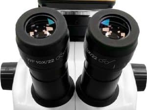 iStereo 211VT Stereo Microscope图（4）