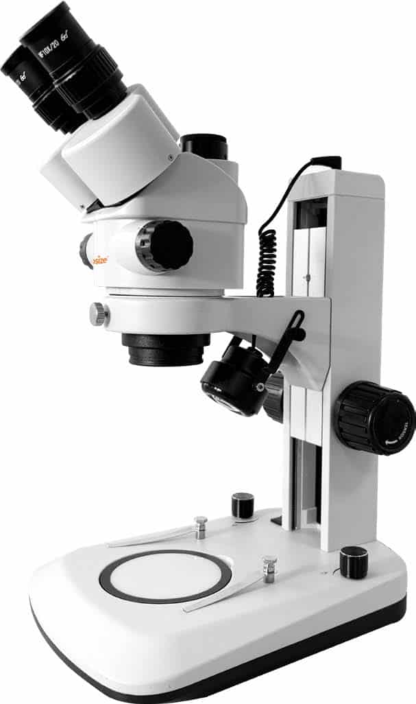 iStereo-0745T Stereo Microscope